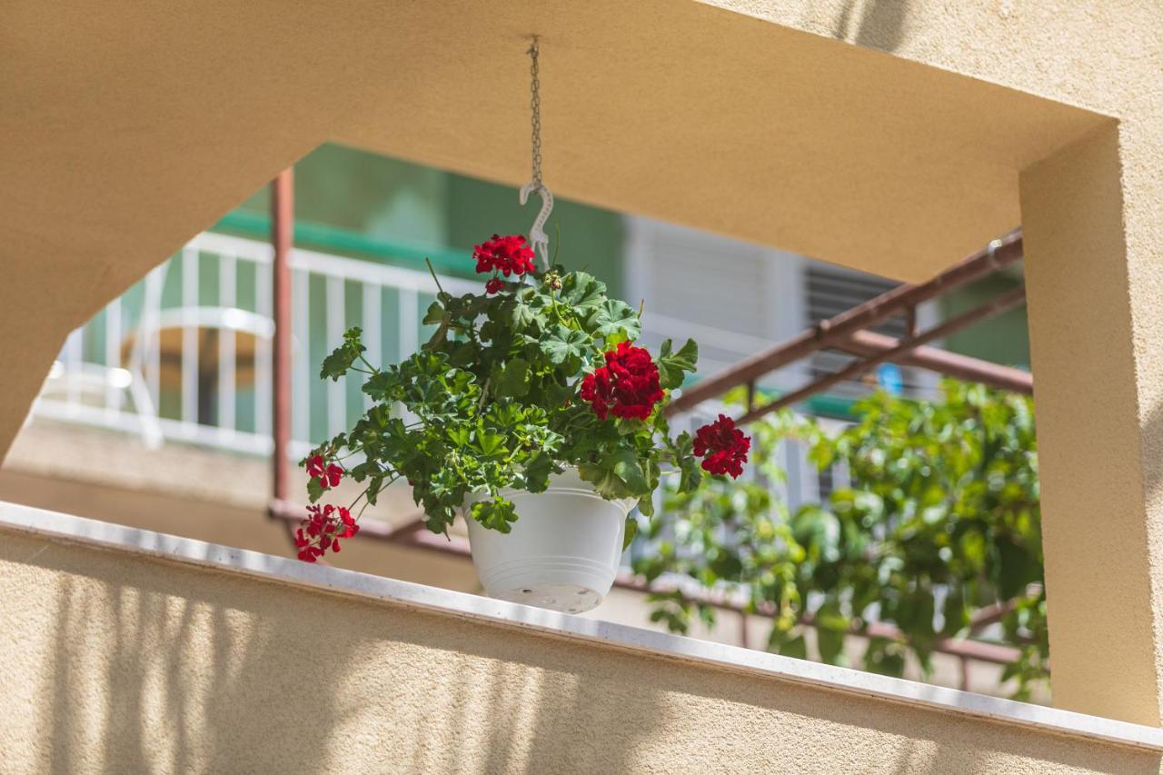 Apartments Barba Tučepi Dış mekan fotoğraf